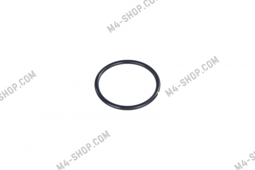 17289680 | кольцо помпы уплотнительное iveco daily